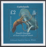 2009 South Georgia  - Cephalopods MS.491 mini sheet U/M (MNH)