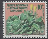 1959 French Antarctic 10f  'Pringlea'  SG.22 u/m (MNH)