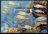 2012 Ascension Is.   Reef Fish Mini Sheet 2nd Series MS.1133 U/M  (MNH)