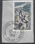 1969 French Antarctic - SG.28   10F Pintado Petrels very fine used.