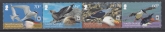 2012 South Georgia  SG.556a -9a Seabirds WWF  4 values  se-ten strip (without White Borders) U/M (MNH)