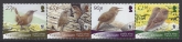 2009 Falkland Islands. SG.1144a-7a Endangered Species Cobbs Wren.(without white border) set 4 values U/M (MNH)