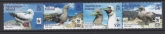2016 Ascension Island. SG.1241a-4a Red Footed Booby (without white frame) set 4 values U/M (MNH)