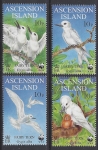 1999 Ascension Island. SG.770-3 Endangered Species( White Tern)  set 4 values U/M (MNH)