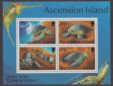 1994 Ascension Island. MS.628  Green Turtles mini sheet  U/M (MNH)