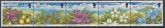 1997 Ascension Island.  SG.713-7  Wild Herbs  set 5 values U/M (MNH)