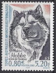 2000 French Antarctic - SG.430  Hobbs (sledge dog)  U/M (MNH)
