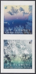 2016 Australian Antarctic.  SG.269-70 Ice Flowers. self Adhesive  set 2  values U/M (MNH)