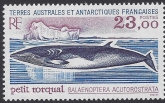 1995 French Antarctic. SG.342  Minke Whale  U/M (MNH)