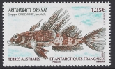 2011 French Antarctic. SG.647 Antarctic Fish U/M (MNH)