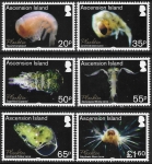 2017  Ascension Island.  SG.1274-9  Plankton  set 6 values U/M (MNH)