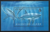 2008  Ascension Island.  MS.1003  Sharks.  mini sheet U/M (MNH)