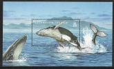 2009  Ascension Island.  MS.1033  Whales & Dolphins.   mini sheet U/M (MNH)