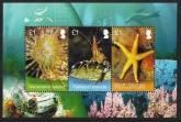 2013 Ascension Island MS1186 Shallow Marine Surveys Group Mini Sheet U/M (MNH)