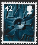 W 102  42p 2B  daffodil  Walsall  U/M (MNH)