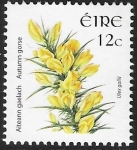 2006 Ireland SG.1672  12c Autumn Gorse   U/M (MNH)