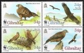 1996  Gibraltar  SG.784-7 Endangered Species 'Red Kite'  set 4 values. U/M (MNH)