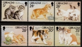 1997  Gibraltar  SG.797-802 Kittens set 6 values. U/M (MNH)