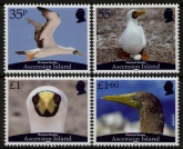 2025 Ascension SG.TBA  masked booby. set 4 values U/M (MNH)
