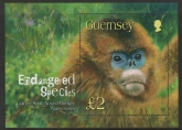 2004 Guernsey MS.1016 End. Species Monkey Mini Sheet U/M (MNH)