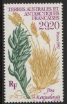 1997  French Antarctic  SG.373  Poa Kerguelensis. 1 value. U/M (MNH)