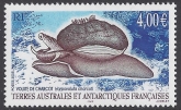 2005  French Antarctic  SG.538  Harpovoluta charcoti. 1 value. U/M (MNH)