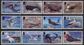 2026 Ascension SG.TBA  Seabirds. set 12 values U/M (MNH)