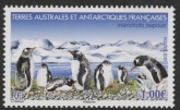 2019 French Antarctic SG.884 Gentoo Penguins U/M (MNH)